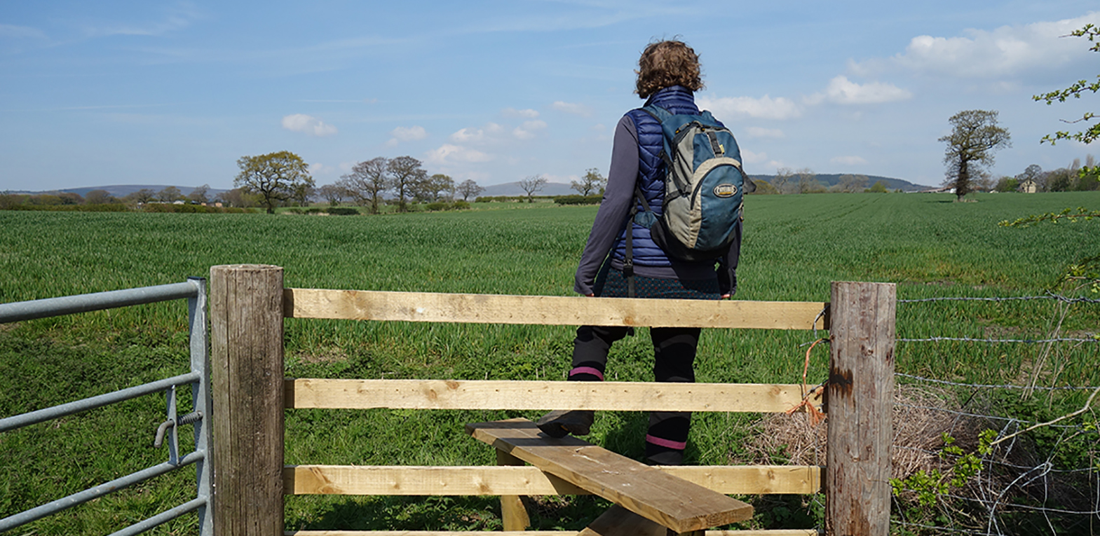 A photograph from the boundary walk. The artist stands on a style surveying a planted field.